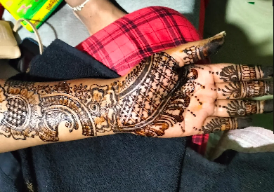Organic Mehandi Application